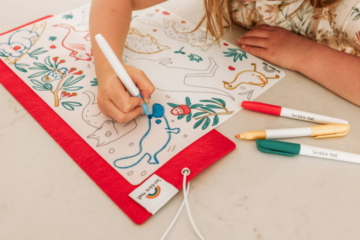 Scribble Mat 12 Washable Pens & Felt Pencil Case