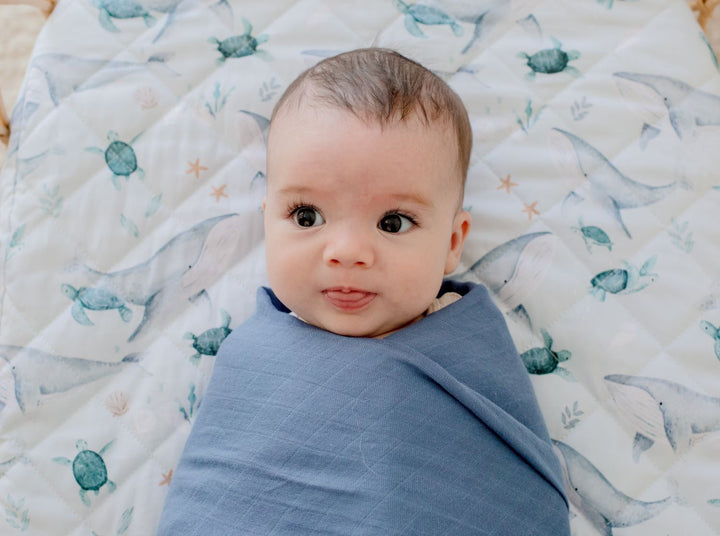 Bambella Waterproof Bassinet Sheet | Turtle Bay