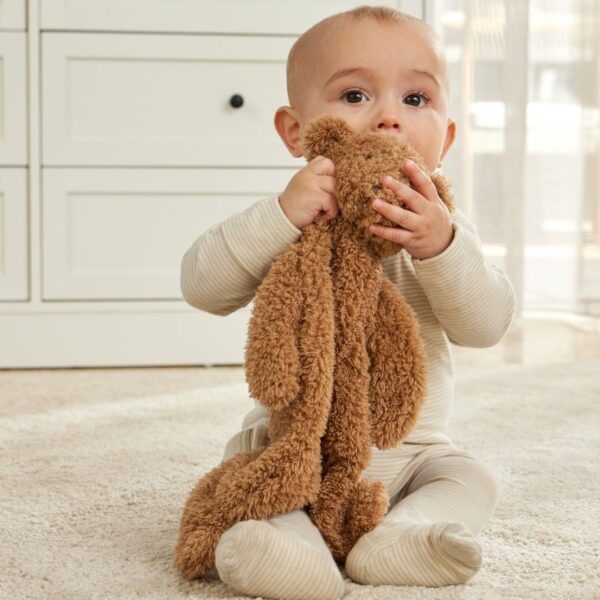 Cuddly Teddy Bear Plush Comforter - Assorted