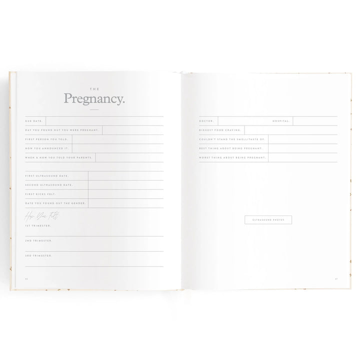 Fox & Fallow Baby Record Book - Pistachio