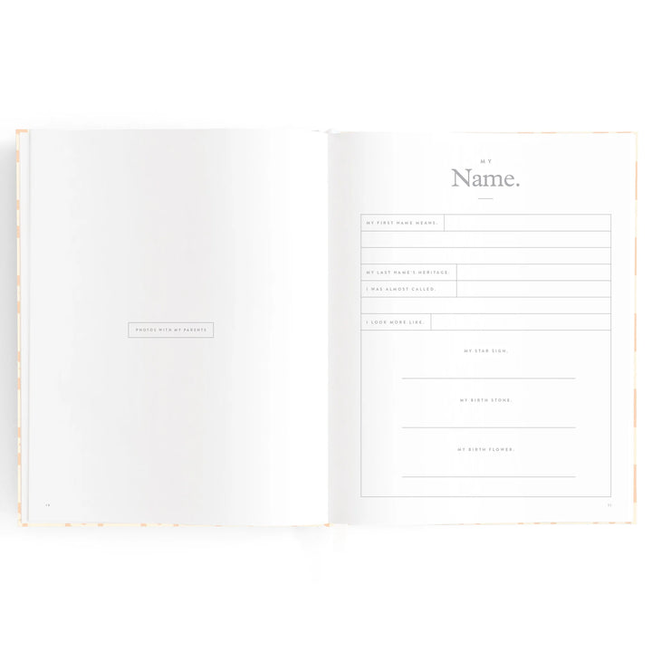Fox & Fallow Baby Record Book - Pink Daisy Grid