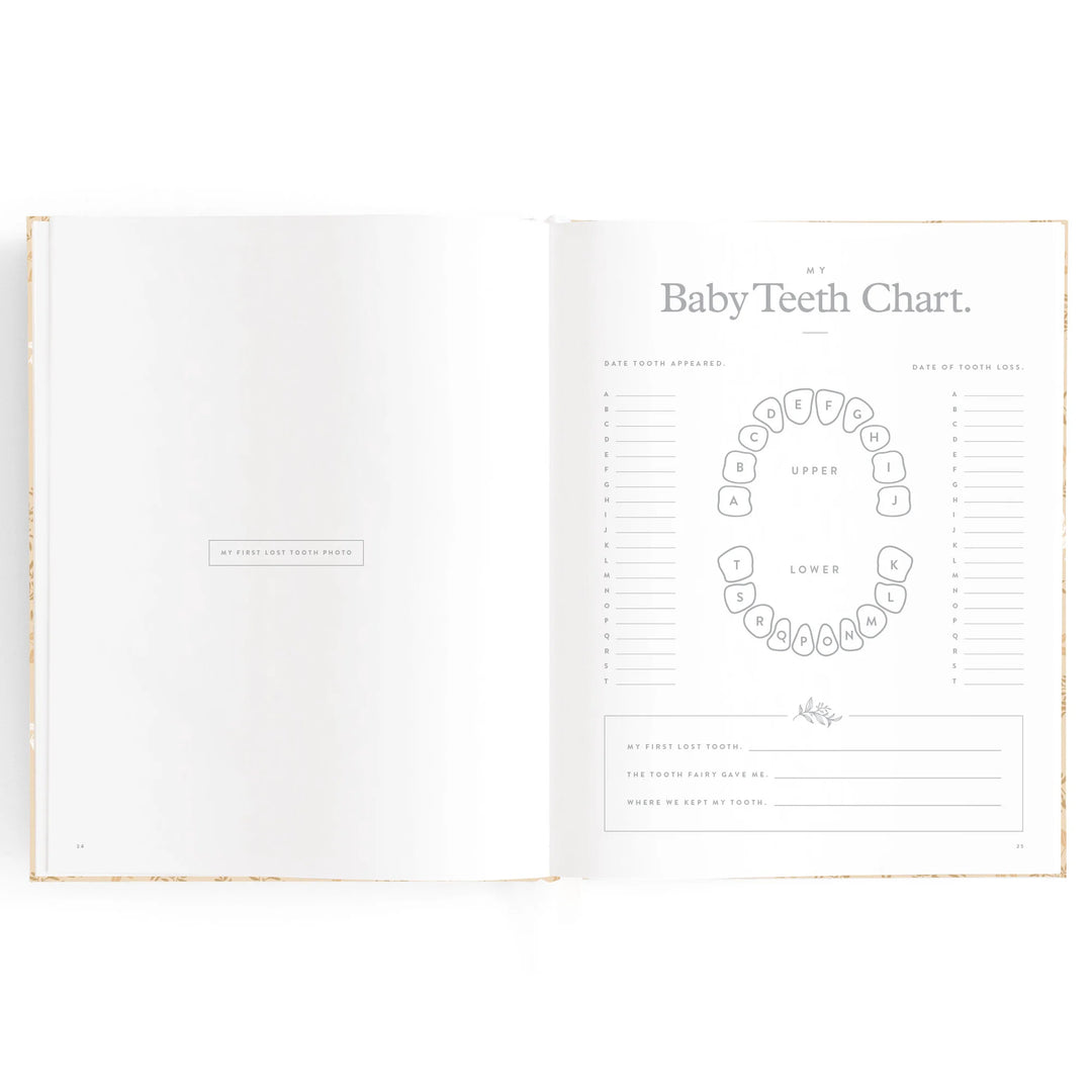 Fox & Fallow Baby Record Book - Cedarwood