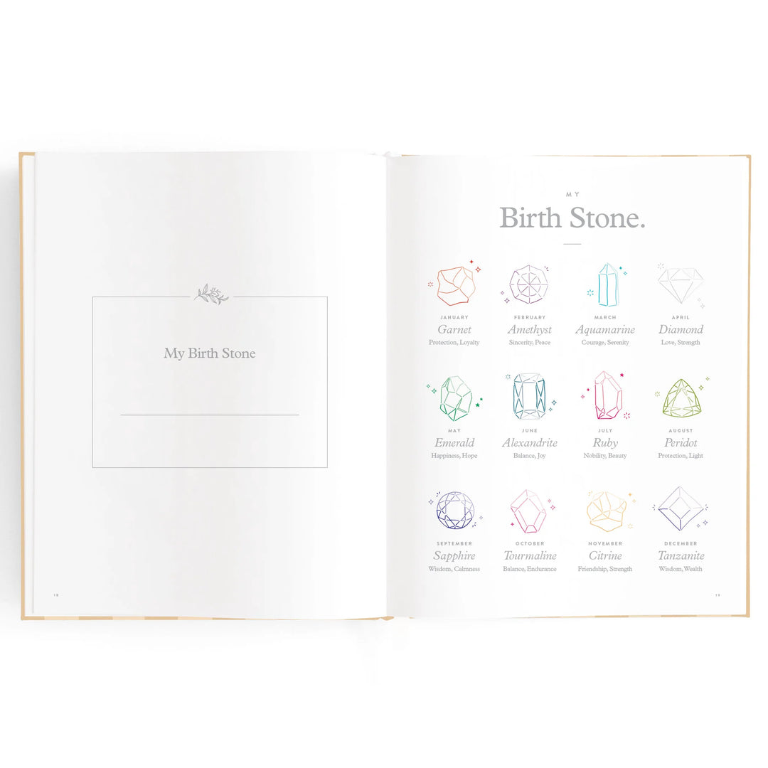 Fox & Fallow Baby Record Book - Coffee Stripe