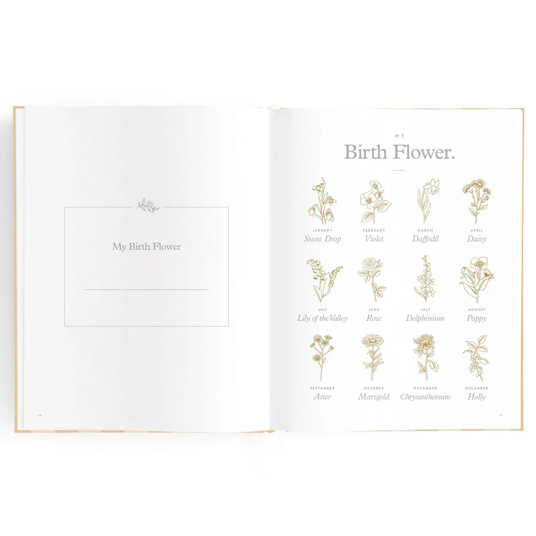 Fox & Fallow Baby Record Book - Coffee Stripe