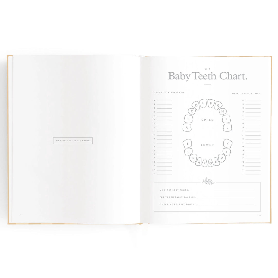 Fox & Fallow Baby Record Book - Coffee Stripe