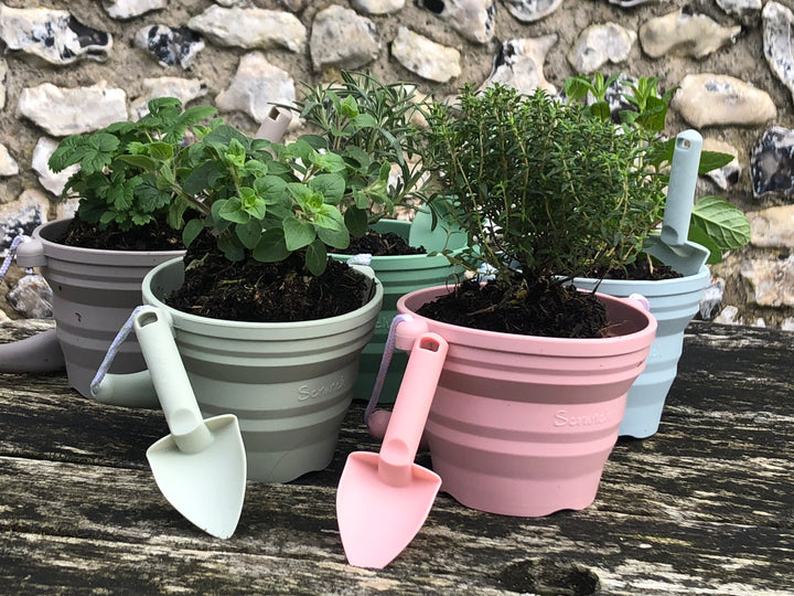 Scrunch Seedling Pot and Trowel - Spearmint