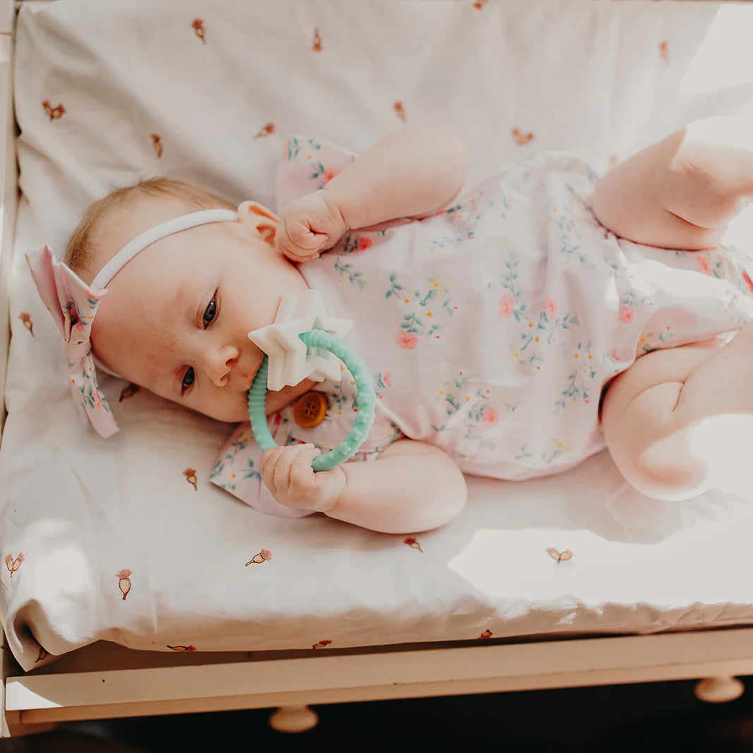 Jellystone Star Teether - Assorted