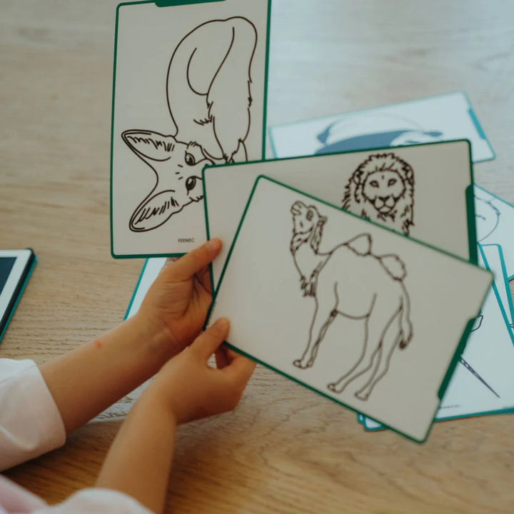 Kidydraw Mini LCD Drawing Tablet - Animals of the World