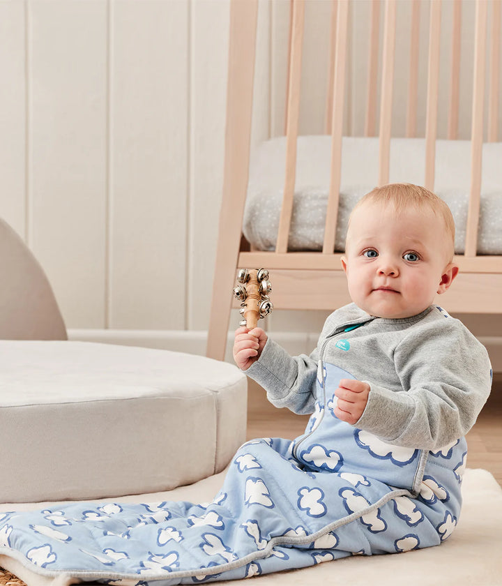 Love to Dream Sleep Bag Long Sleeve 2.5 TOG - Blue Daydream