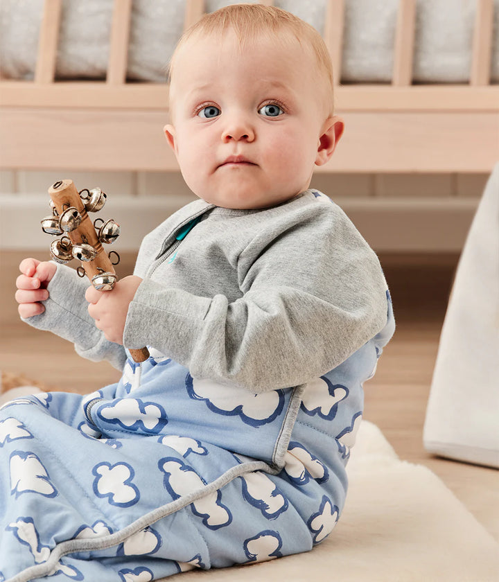 Love to Dream Sleep Bag Long Sleeve 2.5 TOG - Blue Daydream