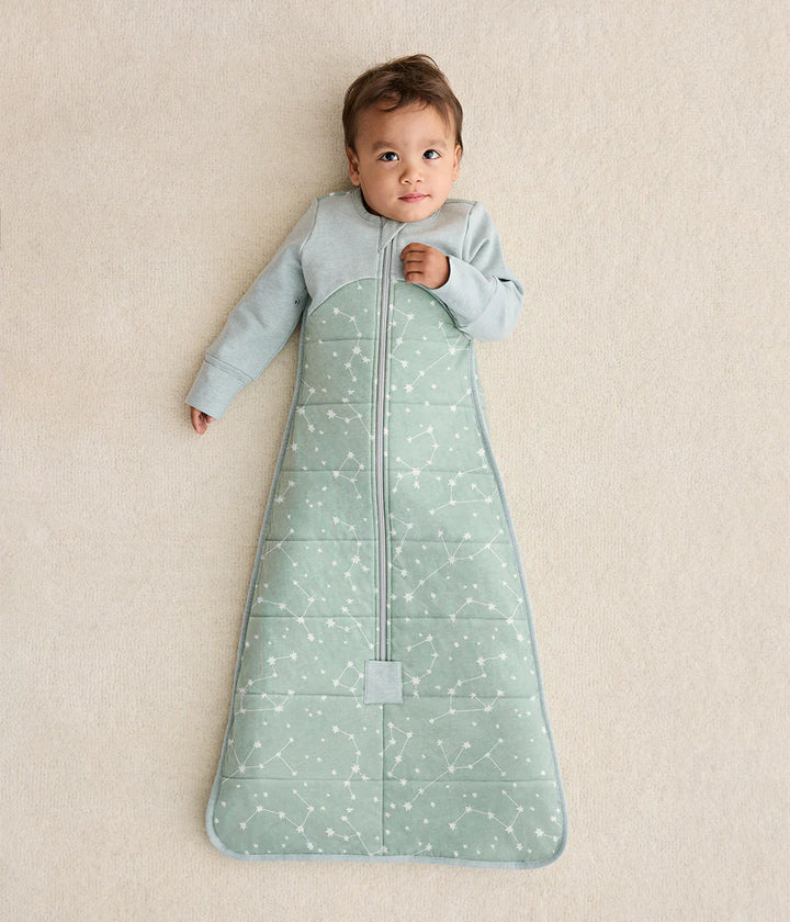 Love to Dream Sleep Bag Long Sleeve 2.5 TOG - Olive Stellar