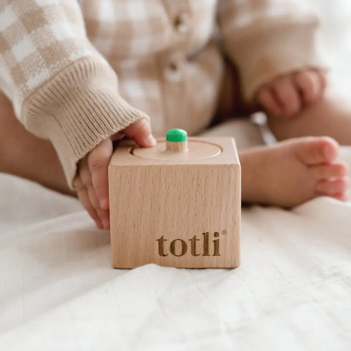 Totli Montessori Style Wooden Pincer Puzzle