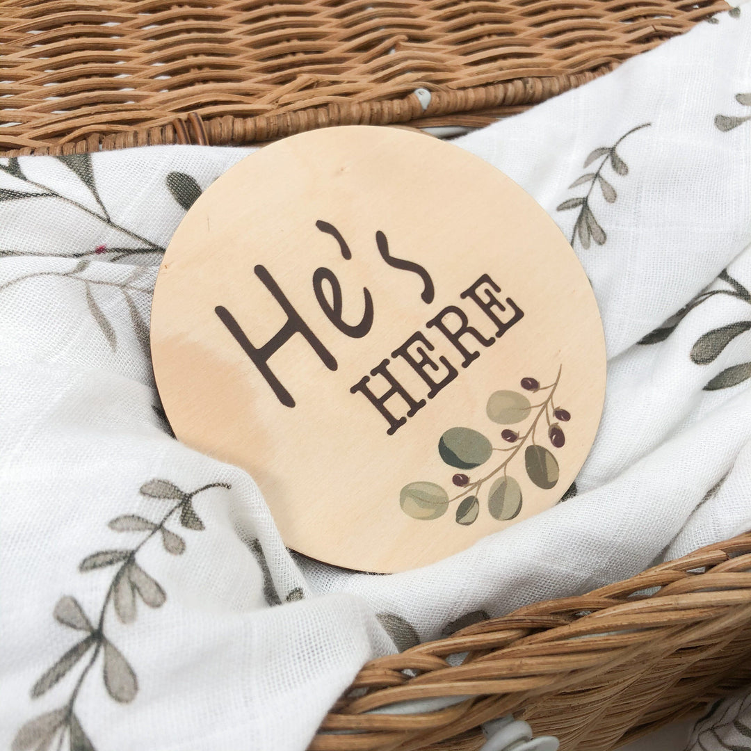 Coloured Announcement Timber Milestone Plaques - Baby Boy