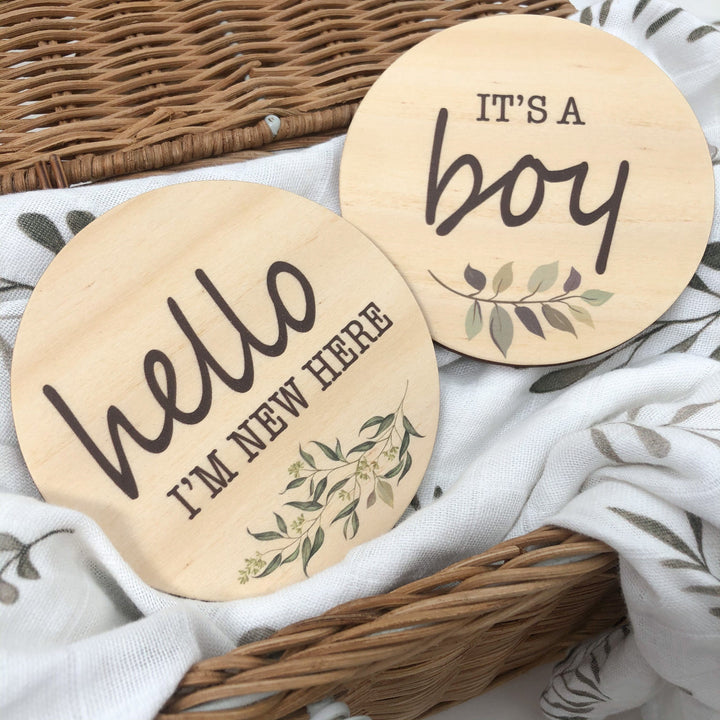 Coloured Announcement Timber Milestone Plaques - Baby Boy