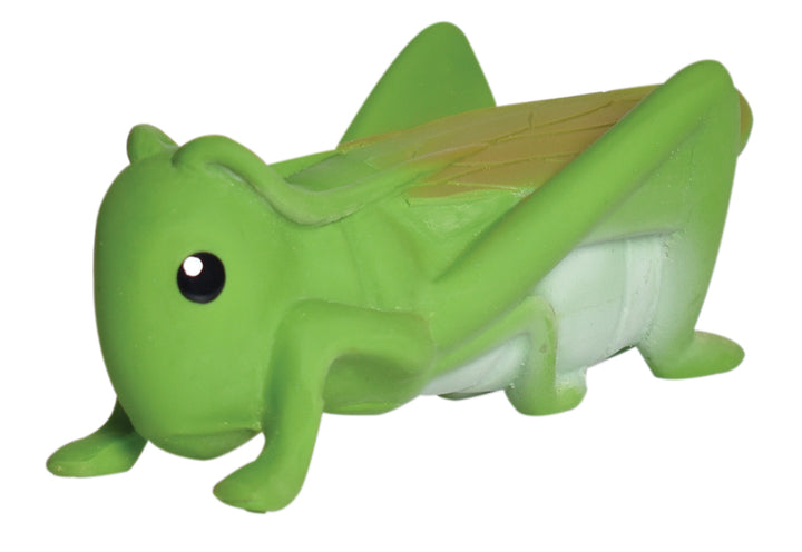 Tikiri My First Garden Friends Natural Rubber Toys