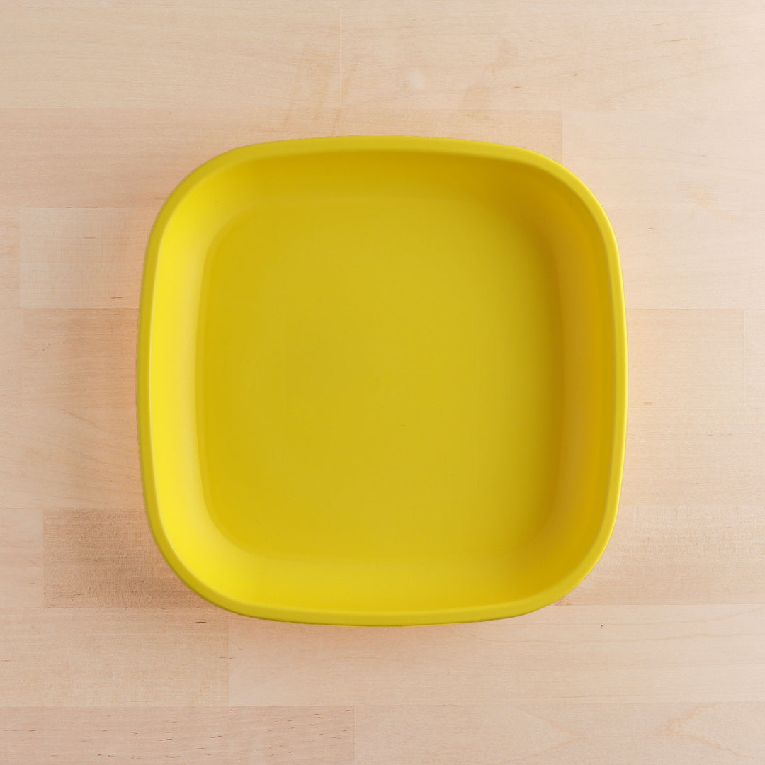 Re-Play Flat Plate