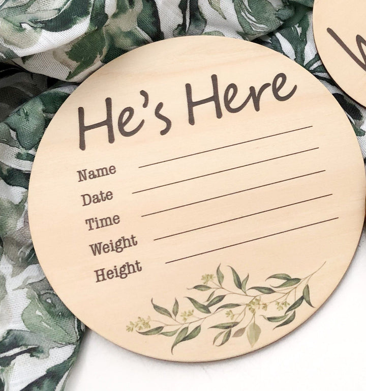 Coloured Announcement Timber Milestone Plaques - Baby Boy