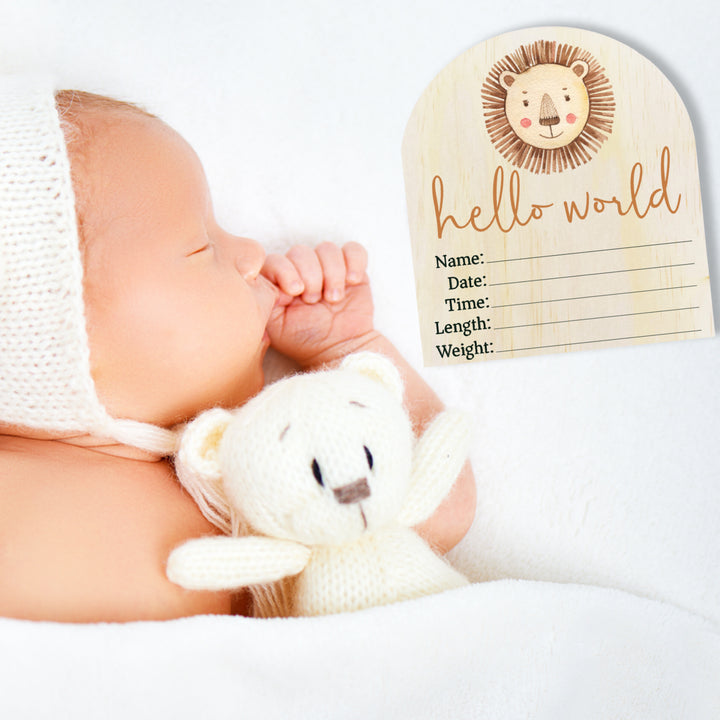 Wooden Announcement Plaque - Hello World Lion Arch