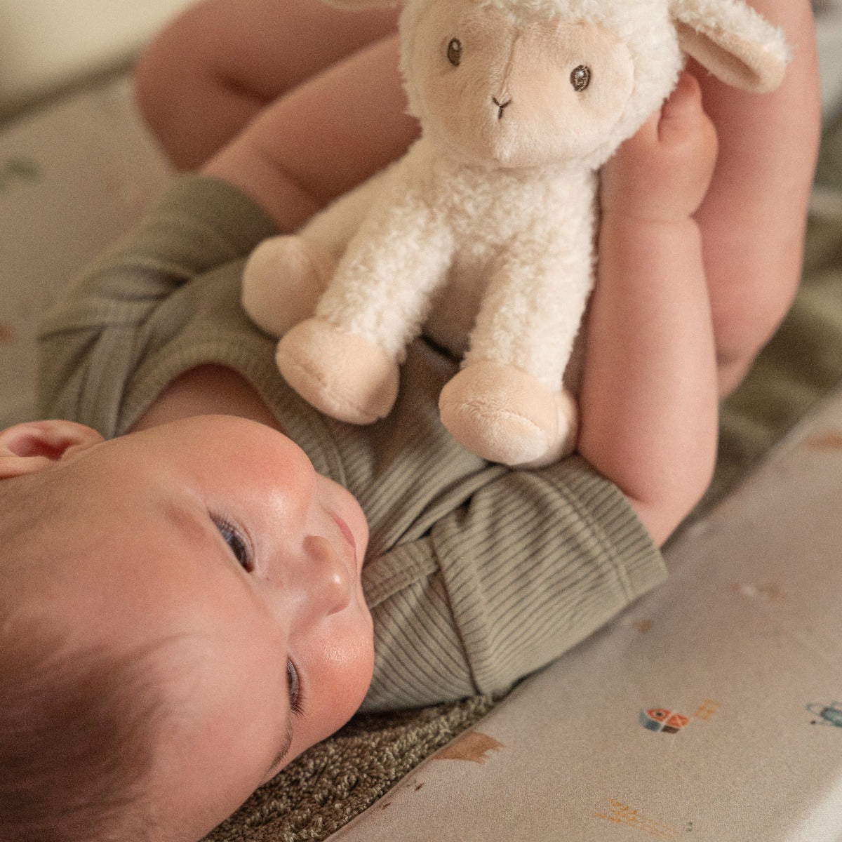 Little Dutch Soft Toys