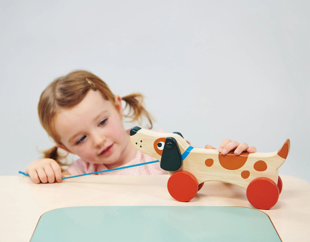 We love the high quality range of wooden toys from Mentari - where play meets purpose