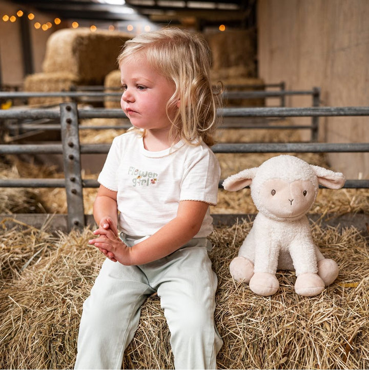 Little Farm Cuddle Sheep Plush 25cm