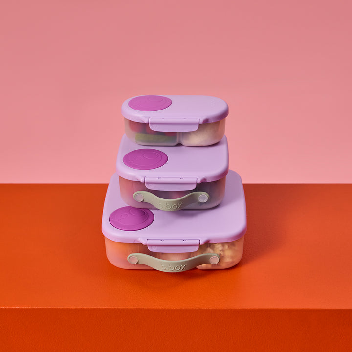 bbox Bento Large Lunchbox - Sugar Plum