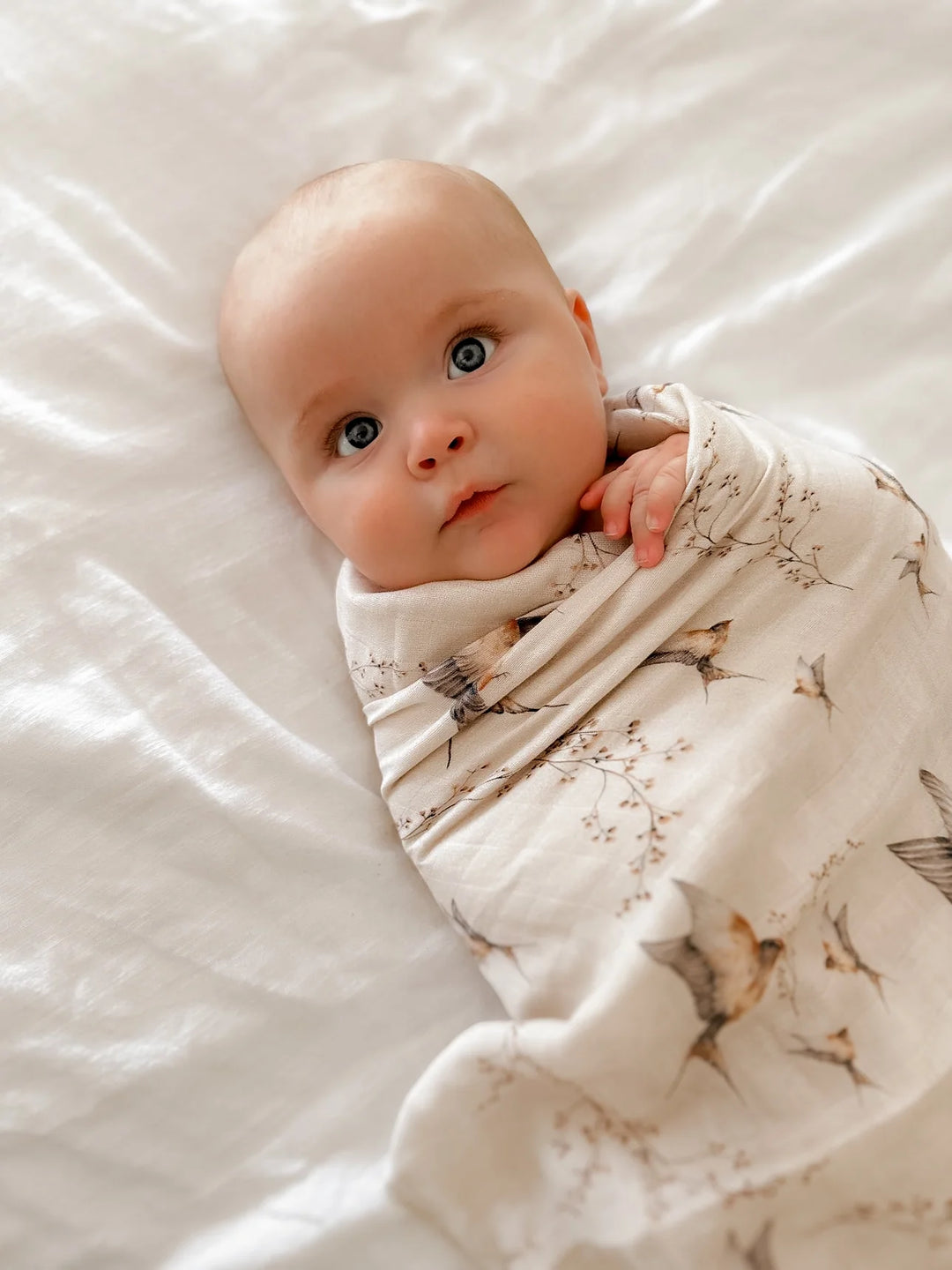 Pop Ya Tot Muslin Swaddle - Nightingale