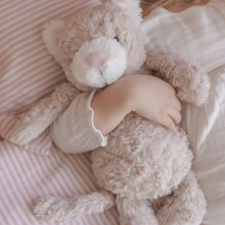 Pickles the Weighted Cat Sensory Plush Toy