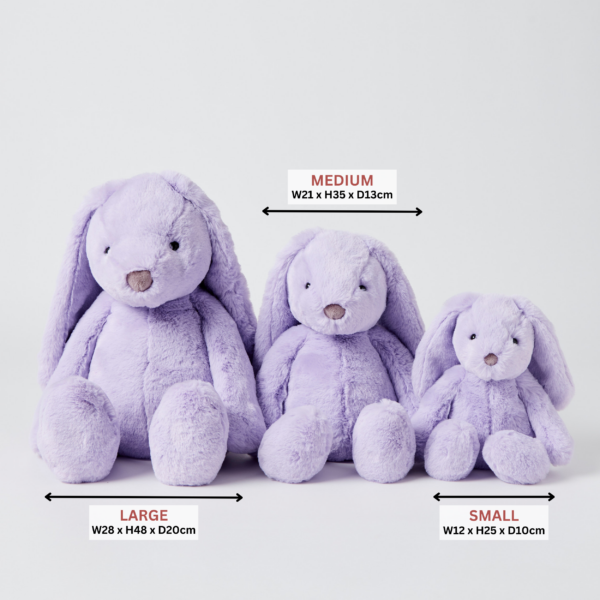 Jiggle & Giggle 25cm Bunny Plush Toy - Lilac