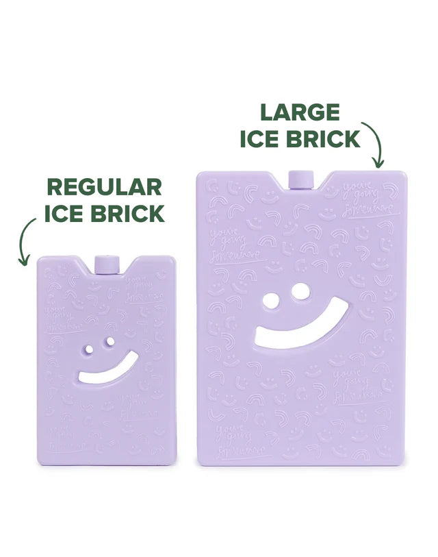The Somewhere Co Reusable Ice Brick
