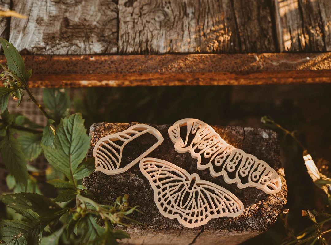 Butterfly Life Cycle Eco Cutter™ Set