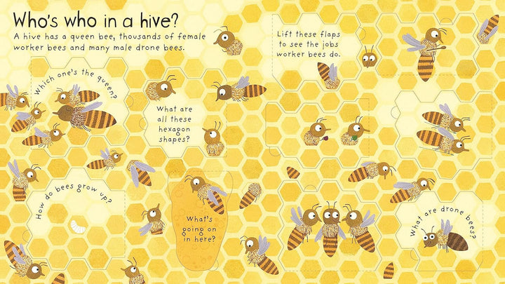 Usborne Lift-The-Flap First Questions and Answers: Why Do We Need Bees?