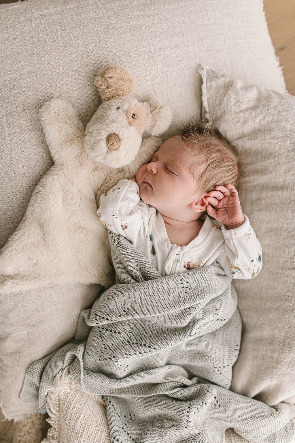 Nana Huchy Buddy the Dog Comforter & Rattle Bundle