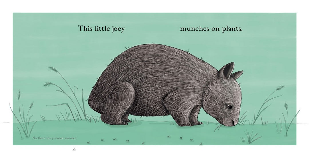 This Little Joey Board Book