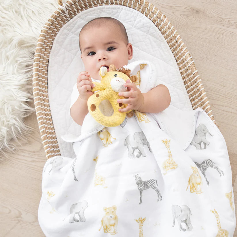 Jersey Sherpa Blanket - Savanna Babies