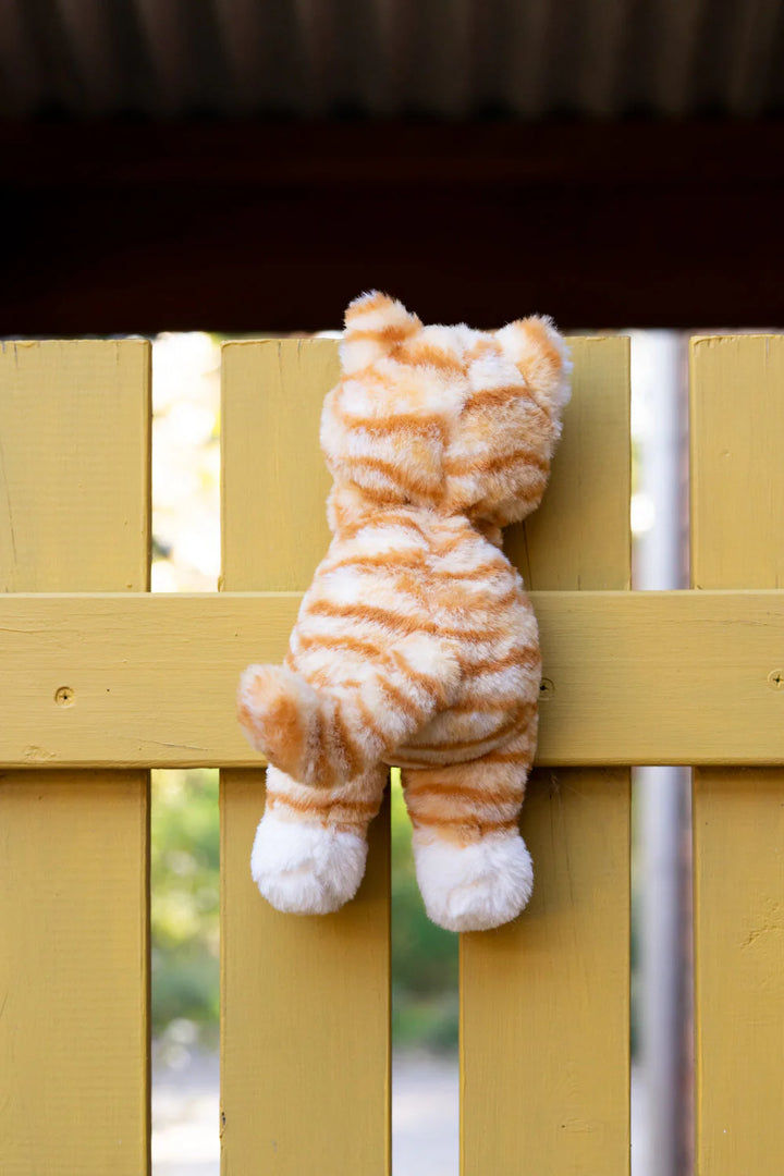 Nana Huchy Ginger the Kitten