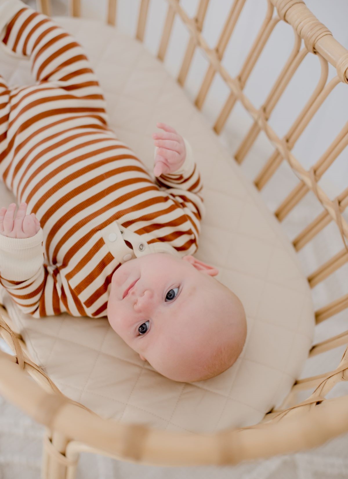 Oat Waterproof Snoo Moses Bassinet Sheet Bambella Designs The Thrifty Mumma