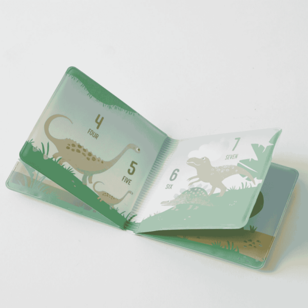 Dino Friends Bath Play Book