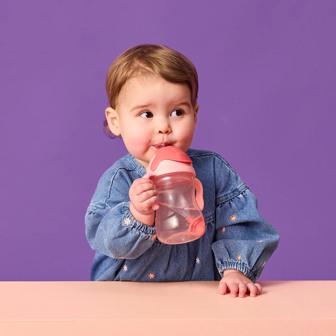 bbox Confetti Weighted Straw Sippy Cup 240ml -  Assorted