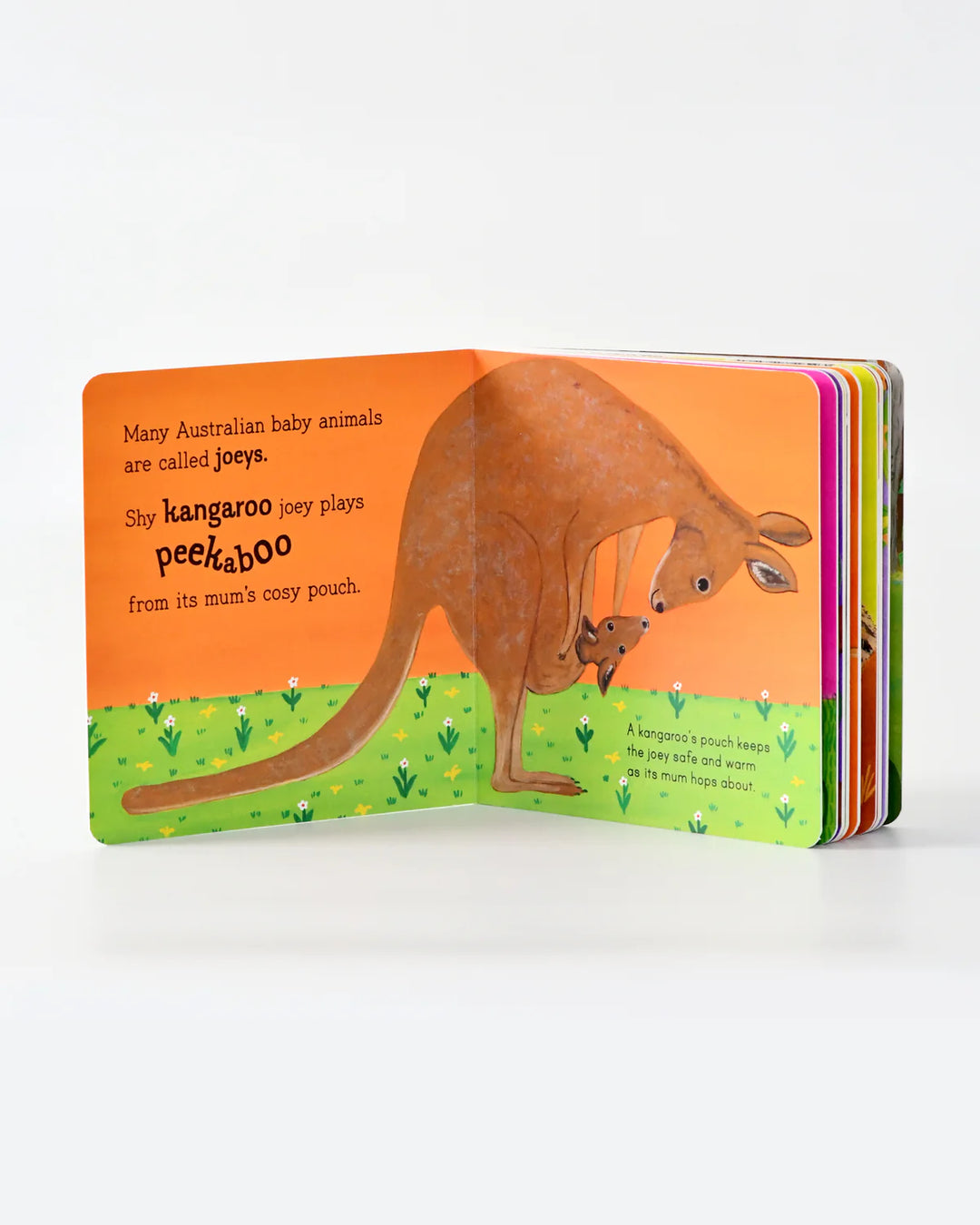 Australian Baby Animals Board Book by Frane Lessac