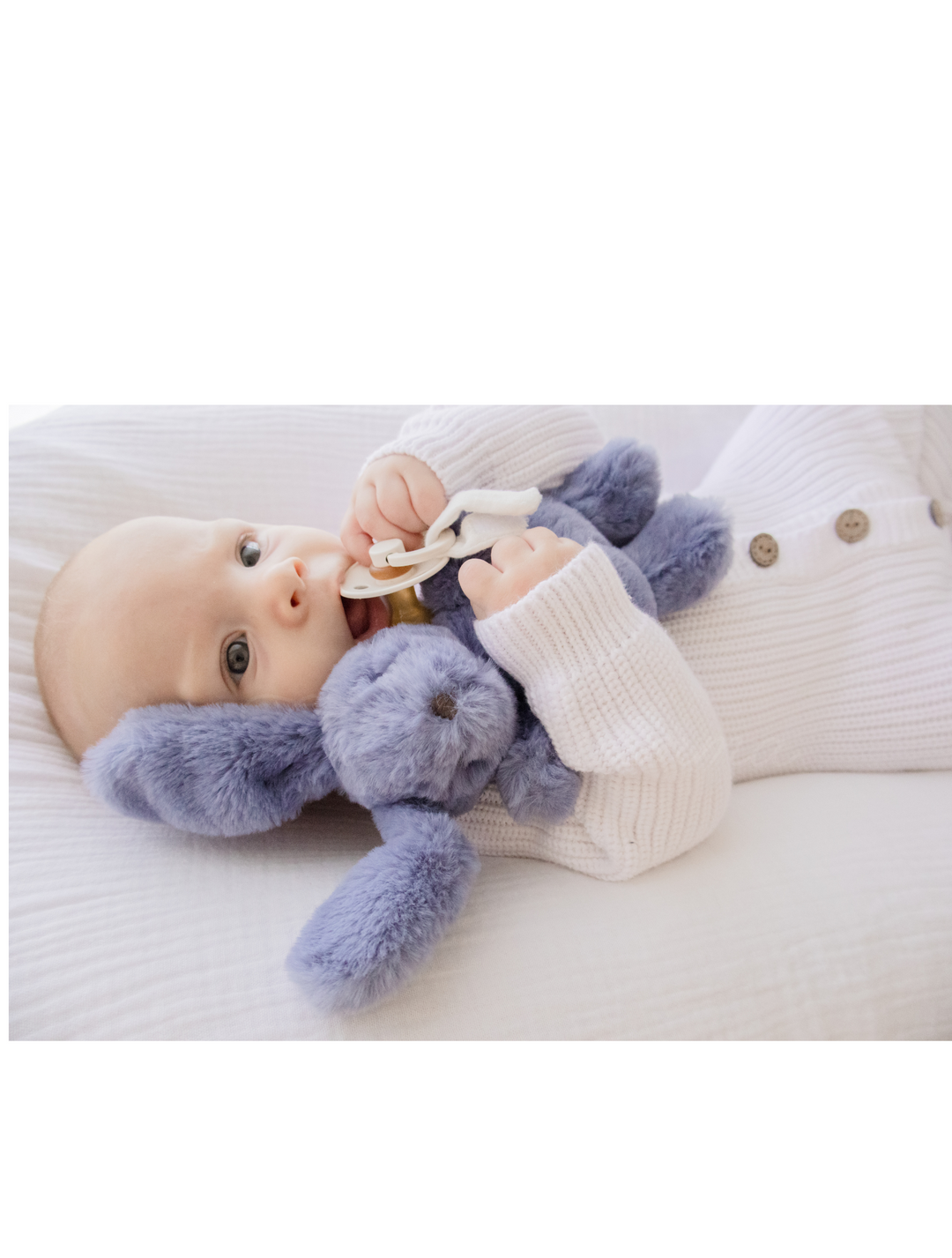 Bashful bunny dummy holder clearance