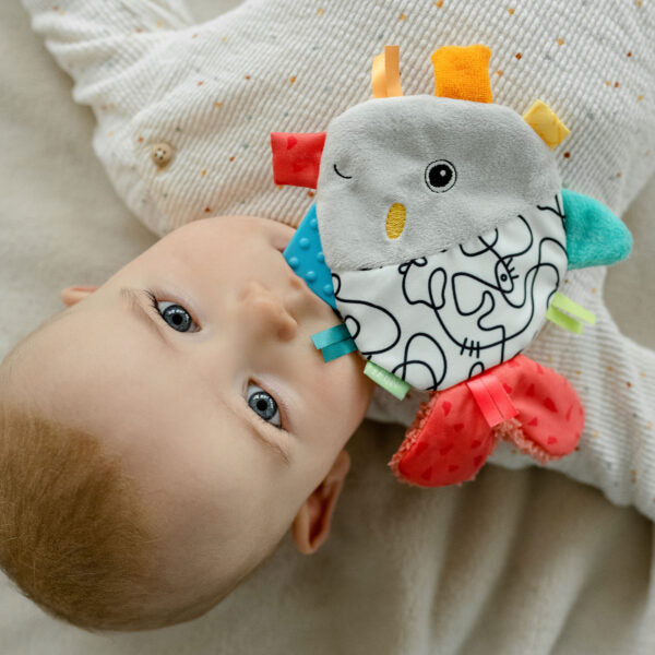 Fehn Crinkle Fish Sensory Toy