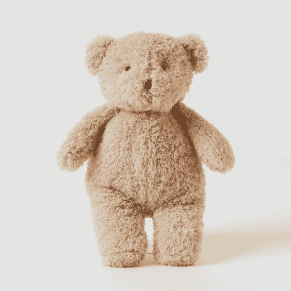 Cuddly Teddy Bear Plush Toy - Assorted