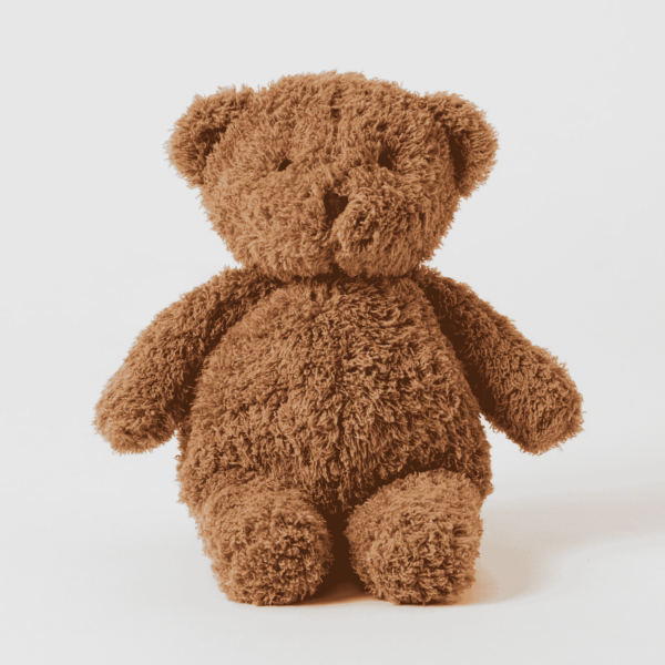 Cuddly Teddy Bear Plush Toy - Assorted