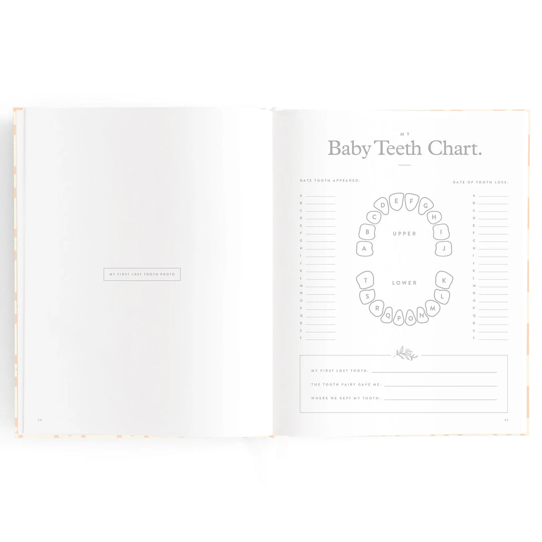 Baby Record Book - Pink Daisy Grid