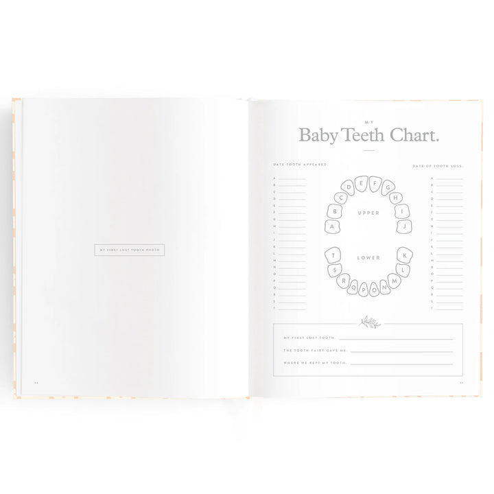 Baby Record Book - Pink Daisy Grid