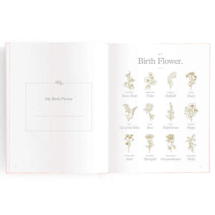 Fox & Fallow Baby Record Book - Petal Stripe
