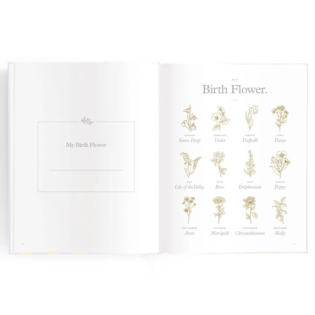 Fox & Fallow Baby Record Book - Cloud Stripe
