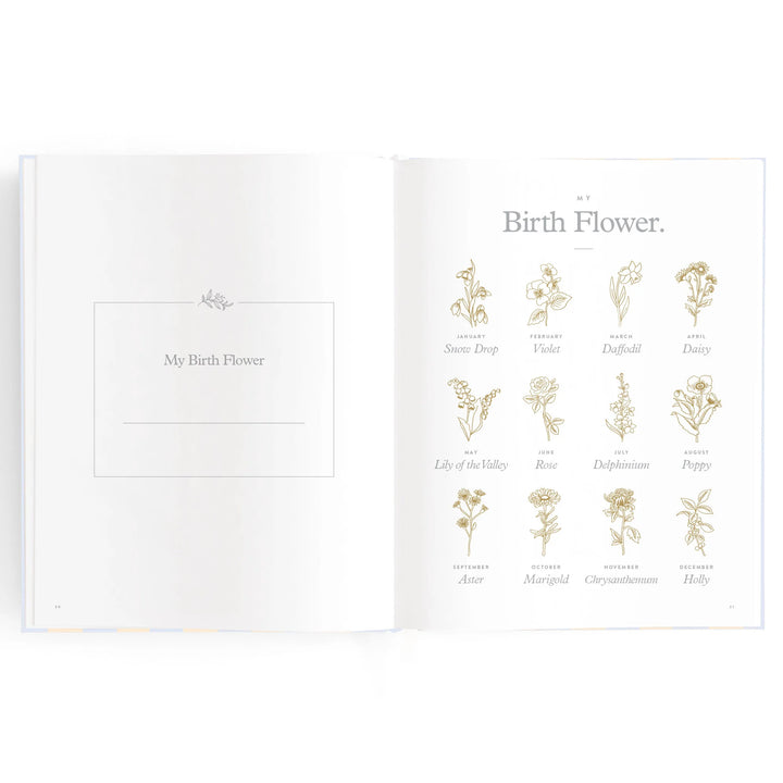 Fox & Fallow Baby Record Book - Cloud Stripe
