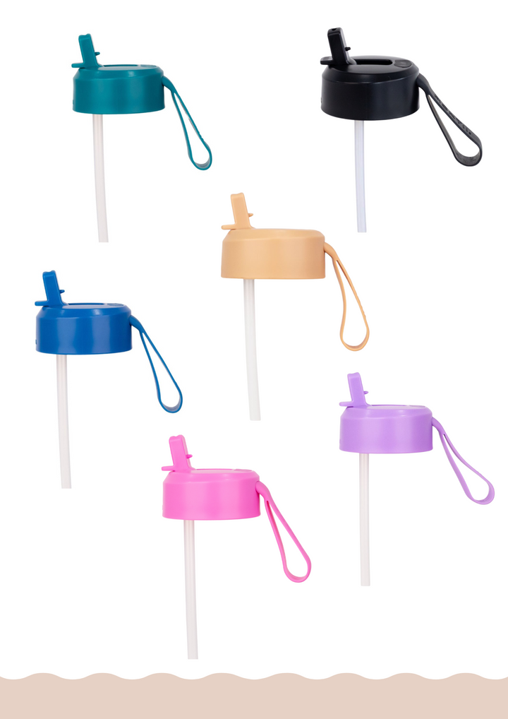 MontiiCo Fusion Sipper Lid + Straw | Assorted